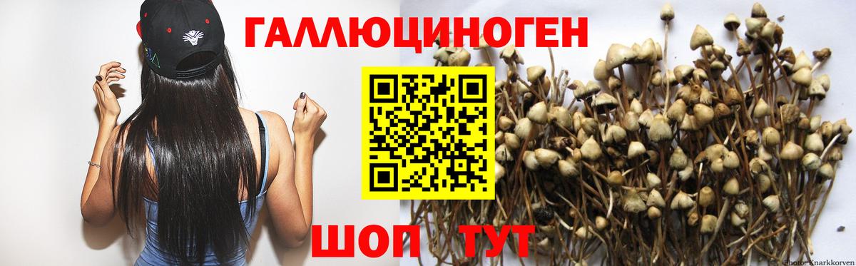Озёры  закладки  Вход с VPN  Псилоцибиновые грибы ЛСД 